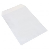 Bolsa 229mm x324mm x 250u. 90g (2692)
